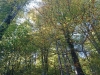 IMG-20171017-WA0017