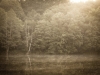 Ohmbachsee_08. Juni 2014-17
