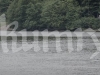 Ohmbachsee_23. Mai 2015-46.jpg