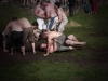 Siersburg_26. Juli 2014-88