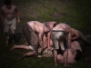 Siersburg_26. Juli 2014-96